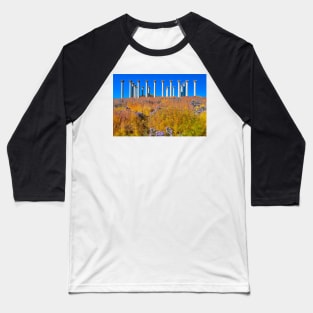 Capitol Arboretum Columns Baseball T-Shirt